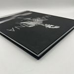 Коллекционная редкая книга Madonna: Nudes + by Martin H.M. Schreiber 2017 Букинистика варинант исполнения - 4 | Loft Concept во Владивостоке