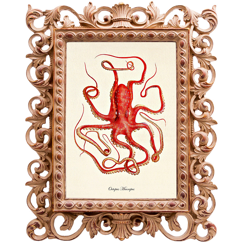 Постер Red Squid Poster Бежевый Красный Постер Red Squid Poster Бежевый Красный во Владивостоке | Loft Concept
