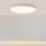 Потолочный светильник Incognito 2700-4000К 46Вт варинант исполнения - 2 | Loft Concept во Владивостоке