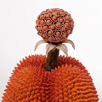 Статуэтка тропический фрукт Tropical Fruit Orange Prickly Berry варинант исполнения - 2 | Loft Concept во Владивостоке