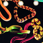 Штора Seletti Snakes Black варинант исполнения - 1 | Loft Concept во Владивостоке