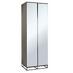 Двухдверный шкаф с зеркальными дверцами Strict Lines варинант исполнения - 1 | Loft Concept во Владивостоке