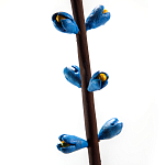 Синий экзотический фрукт статуэтка для интерьераTropical Fruit Pandora 9 варинант исполнения - 2 | Loft Concept во Владивостоке