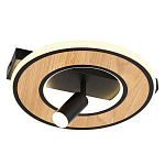 Потолочный светильник круглый GAVIN WOOD варинант исполнения - 1 | Loft Concept во Владивостоке