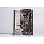 Книга Fantastic Gustave Dore варинант исполнения - 3 | Loft Concept во Владивостоке