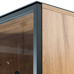 Шкаф Condition варинант исполнения - 3 | Loft Concept во Владивостоке