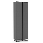 Двухдверный шкаф цвета графит Strict Lines варинант исполнения - 1 | Loft Concept во Владивостоке