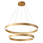 Люстра подвесная светодиодная с двумя золотистыми кольцами Диаметр 80 см Ring Horizontal варинант исполнения - 1 | Loft Concept во Владивостоке