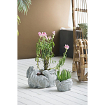 Кашпо A collection of baby rabbits варинант исполнения - 4 | Loft Concept во Владивостоке