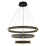 Люстра светодиодная с 3-мя плафонами в форме колец из акрила и алюминия с пультом для регулировки света Ring Horizontal Anthracite варинант исполнения - 1 | Loft Concept во Владивостоке