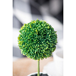 Декоративный искусственное растение Boxwood One варинант исполнения - 8 | Loft Concept во Владивостоке