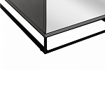 Двухдверный шкаф с зеркальными дверцами Strict Lines варинант исполнения - 4 | Loft Concept во Владивостоке