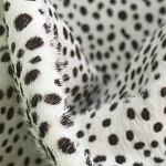 Мебельная ткань Искусственный мех  белый леопард 90 см T5-3 варинант исполнения - 1 | Loft Concept во Владивостоке