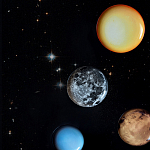 Блюдо Seletti Sun варинант исполнения - 6 | Loft Concept во Владивостоке