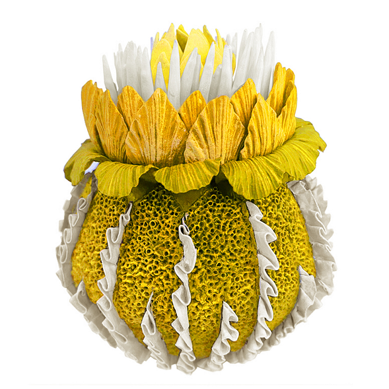Желтый Экзотический фрукт Yellow Pandora Exotic Fruit 44 Желтый Желтый Экзотический фрукт Yellow Pandora Exotic Fruit 44 Желтый во Владивостоке | Loft Concept