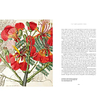 Прекрасно иллюстрированная книга более 100 ботанических произведений Plant Hunters Atlas варинант исполнения - 5 | Loft Concept во Владивостоке