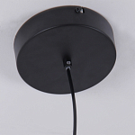 Люстра подвесная светодиодная черный металл Ring Horizontal варинант исполнения - 6 | Loft Concept во Владивостоке