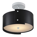 Потолочный светильник круглый светодиодный Semicircular White Panels чёрный варинант исполнения - 2 | Loft Concept во Владивостоке