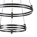Люстра светодиодная с 2-мя плафонами в форме колец из акрила и алюминия с пультом для регулировки света Ring Horizontal Black варинант исполнения - 1 | Loft Concept во Владивостоке
