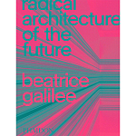 Radical Architecture of the Future варинант исполнения - 1 | Loft Concept во Владивостоке