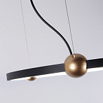 Люстра подвесная светодиодная черный металл Ring Horizontal варинант исполнения - 3 | Loft Concept во Владивостоке