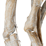 Люстра круглая в виде веток деревьев Natural Driftwood варинант исполнения - 3 | Loft Concept во Владивостоке