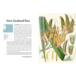 Прекрасно иллюстрированная книга более 100 ботанических произведений Plant Hunters Atlas варинант исполнения - 3 | Loft Concept во Владивостоке