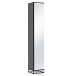 Шкаф-пенал с зеркальной дверцей и фасадом цвета графит Strict Lines варинант исполнения - 1 | Loft Concept во Владивостоке