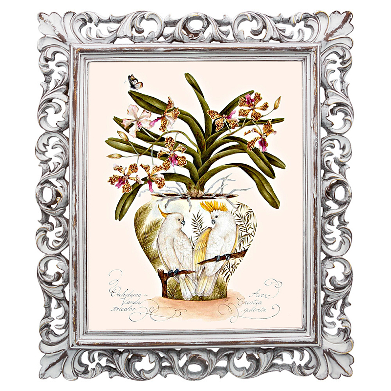Постер White Parrots and Orchid Poster Мульти Белый винтажная патина Постер White Parrots and Orchid Poster Мульти Белый винтажная патина во Владивостоке | Loft Concept