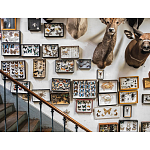 Книга Extraordinary Collections: French Interiors варинант исполнения - 11 | Loft Concept во Владивостоке