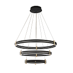 Люстра светодиодная с 3-мя плафонами в форме колец из акрила и алюминия с пультом для регулировки света Ring Horizontal Anthracite варинант исполнения - 6 | Loft Concept во Владивостоке