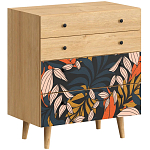 Комод с принтом на ящиках Elise Chest of Drawers варинант исполнения - 2 | Loft Concept во Владивостоке