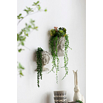 Кашпо Curly baby варинант исполнения - 5 | Loft Concept во Владивостоке