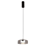 Подвесной светильник Blanton smoky 23 варинант исполнения - 2 | Loft Concept во Владивостоке