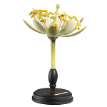 Статуэтка Tilia варинант исполнения - 2 | Loft Concept во Владивостоке