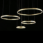 Люстра подвесная светодиодная Jewelry Ring варинант исполнения - 4 | Loft Concept во Владивостоке