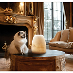 Настольная лампа в форме трапеции из натурального камня Soft Glow of Stone варинант исполнения - 5 | Loft Concept во Владивостоке