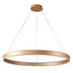 Люстра подвесная светодионая кольцевая золотого цвета Ring Horizontal варинант исполнения - 1 | Loft Concept во Владивостоке