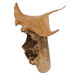 Статуэтка из дерева скат Animals of the World варинант исполнения - 2 | Loft Concept во Владивостоке