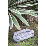 Кашпо Canaries варинант исполнения - 3 | Loft Concept во Владивостоке