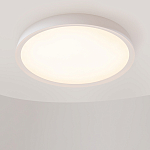 Потолочный светильник Incognito 2700-4000К 46Вт варинант исполнения - 4 | Loft Concept во Владивостоке