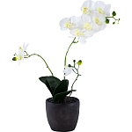 Декоративный искусственное растение Angel Orchid варинант исполнения - 1 | Loft Concept во Владивостоке