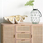 Блюдо декоративное в виде ракушки Seashell варинант исполнения - 1 | Loft Concept во Владивостоке