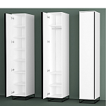 Шкаф-пенал белый с зеркальной дверцей Strict Lines варинант исполнения - 5 | Loft Concept во Владивостоке
