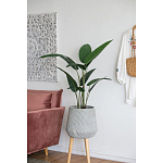 Декоративный искусственное растение Decor Stile  варинант исполнения - 6 | Loft Concept во Владивостоке