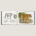 Лимитированная подарочная книга HERMES Fierce and Fragile book, English version варинант исполнения - 2 | Loft Concept во Владивостоке