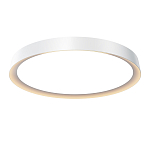 Потолочный светильник Incognito 2700-4000К 46Вт варинант исполнения - 1 | Loft Concept во Владивостоке