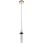 Подвесной светильник золото Odile Acrylic Tube Hanging Lamp Gold варинант исполнения - 2 | Loft Concept во Владивостоке