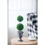 Декоративный искусственное растение Double boxwood варинант исполнения - 5 | Loft Concept во Владивостоке