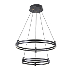 Люстра светодиодная с 2-мя плафонами в форме колец из акрила и алюминия с пультом для регулировки света Ring Horizontal Black варинант исполнения - 4 | Loft Concept во Владивостоке